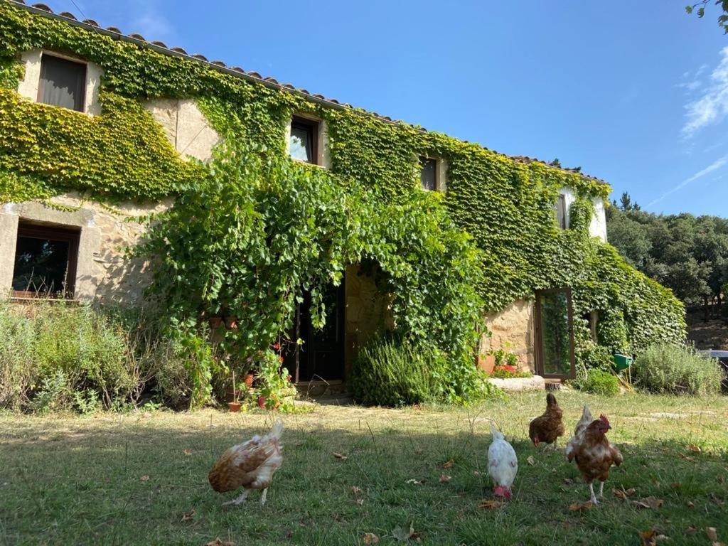 Can Canaleta Hotel Rural Santa Coloma De Farners Exterior photo